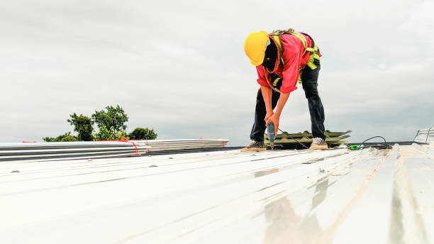 Roof Insulation in Glenwood, GA